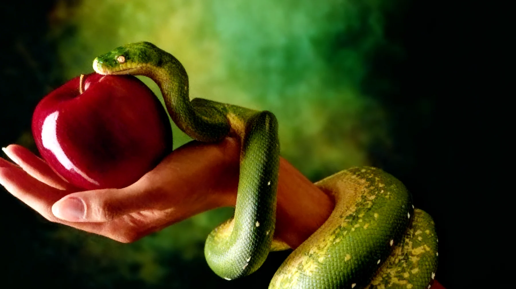 Forbidden Fruit2026-02-15T12:57:18.029Z"