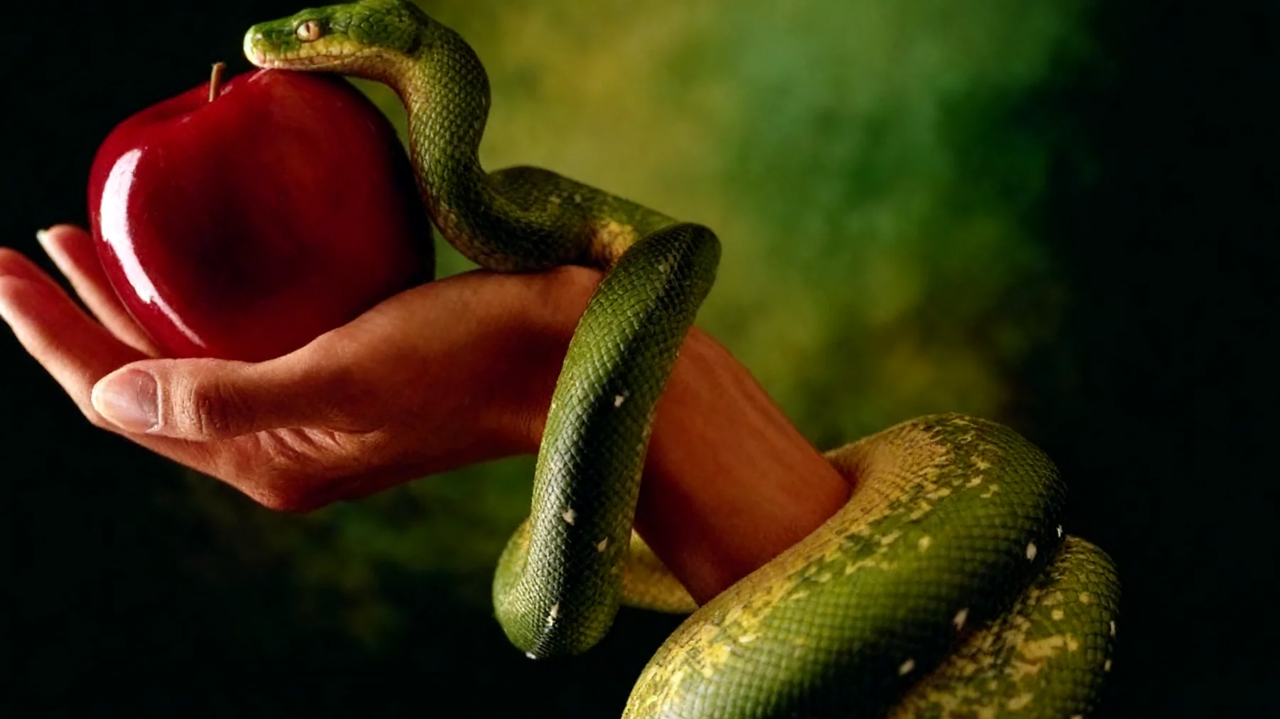 Forbidden Fruit2026-02-16T12:59:04.524Z"